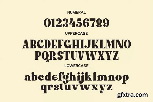 Lacer Serif Bold Typeface