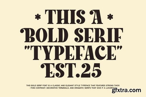 Lacer Serif Bold Typeface