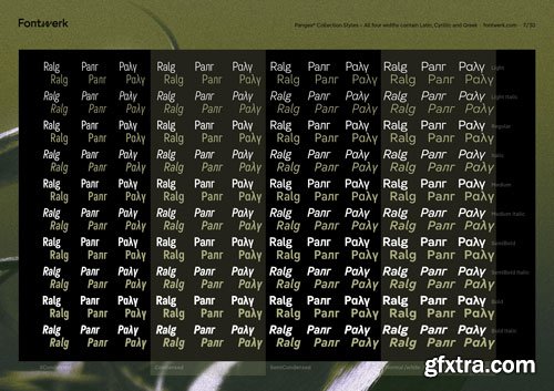 Pangea Font Collection 80xOTF