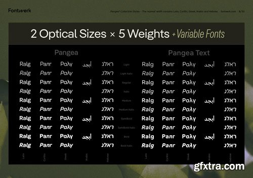 Pangea Font Collection 80xOTF