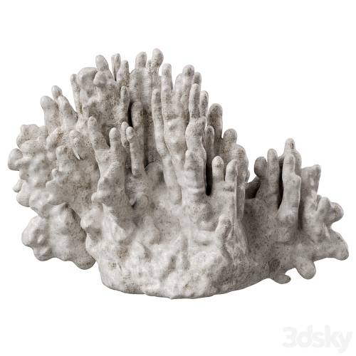 '3dsky Pro - Regina Andrew White Resin Coral Decorative Sculpture' '3dsky Pro - Regina Andrew White Resin Coral Decorative Sculpture'