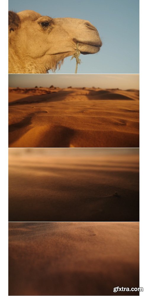 Artlist - Coast of Essaouira - 4K ProRes UHQ Collections