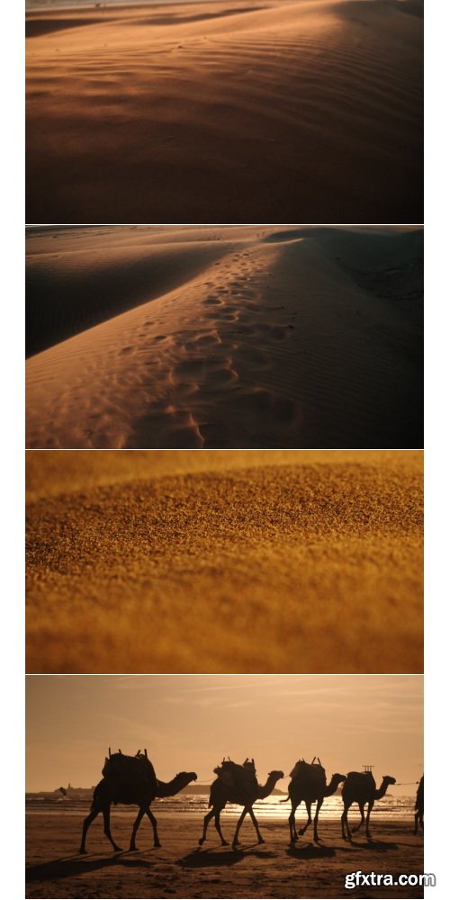 Artlist - Coast of Essaouira - 4K ProRes UHQ Collections