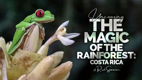 'KelbyOne - Uncovering the Magic of the Rainforest: Costa Rica'