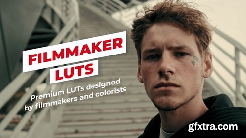 MotionArray - Filmmaker LUTs
