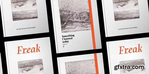 MyFonts - Rebuke Font Family 12xOTF