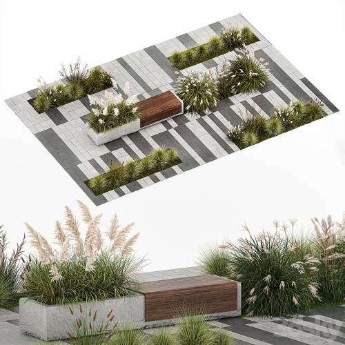 '3dsky Pro - Flower bed with feather grass bushes, Miscanthus, Cortaderia and white pampas grass, bench and bench paving slabs. 1147.'