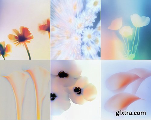 Etsy - PETALRUSH - Floral Gradient Backgrounds