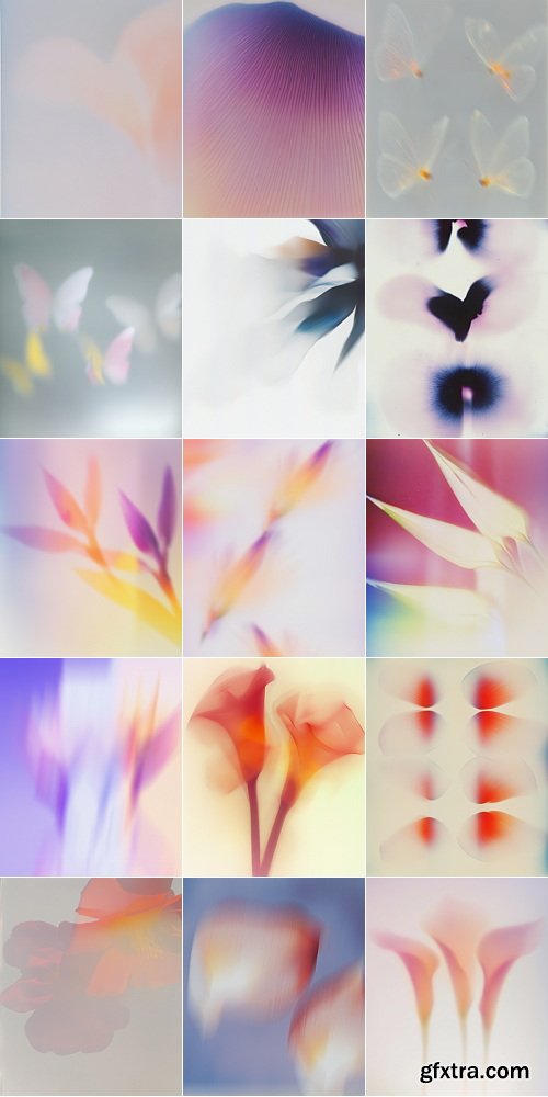 Etsy - PETALRUSH - Floral Gradient Backgrounds