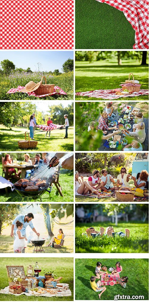 Picnic and Barbecue in the Countryside 52xJPG