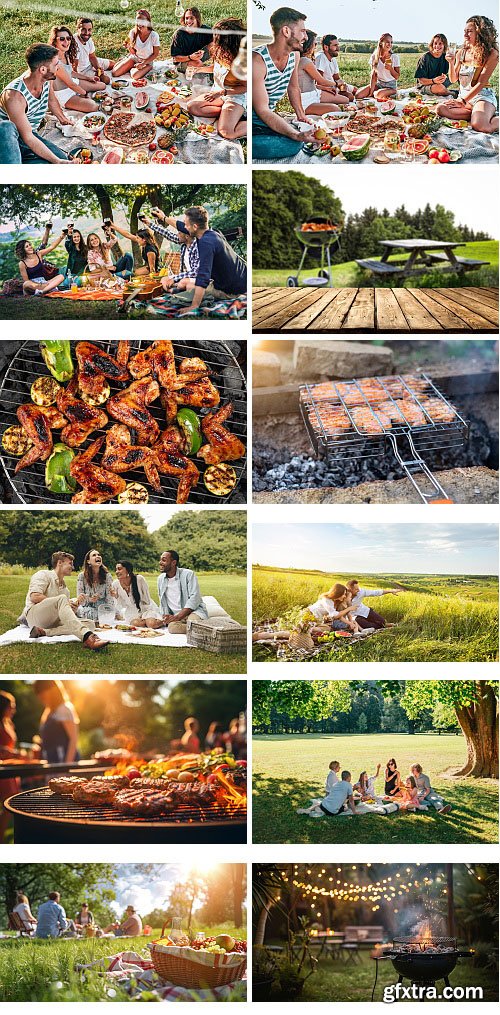 Picnic and Barbecue in the Countryside 52xJPG