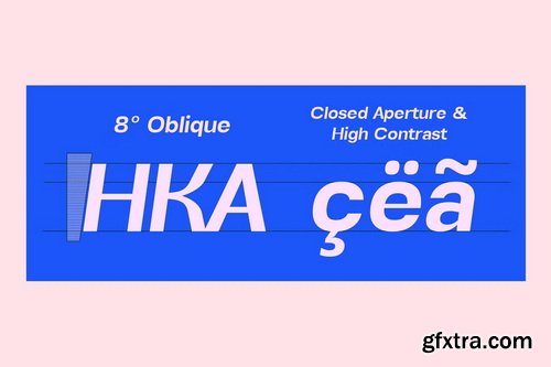 CreativeMarket - Alvara Sans Family