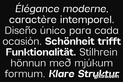 CreativeMarket - Alvara Sans Family