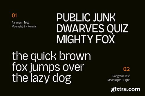 CreativeMarket - Moanslight Modern Grotesque