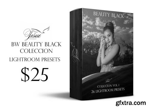 Creativemarket - BEAUTY BLACK - LIGHTROOM PRESETS 1756910
