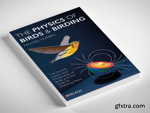 The Physics of Birds and Birding: The Sounds, Colors and Movements of Birds, and Our Tools for Watching Them
