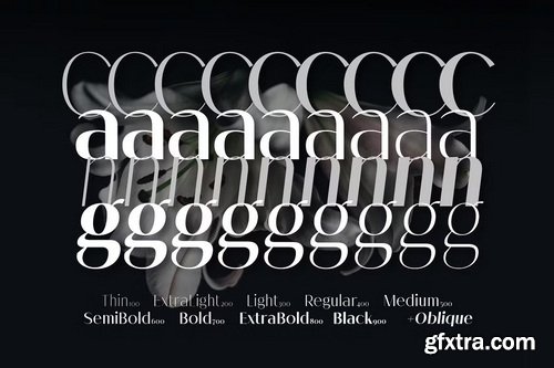 CreativeMarket - Melloida Font Family