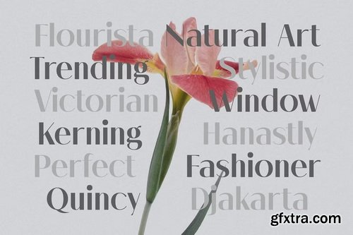 CreativeMarket - Melloida Font Family