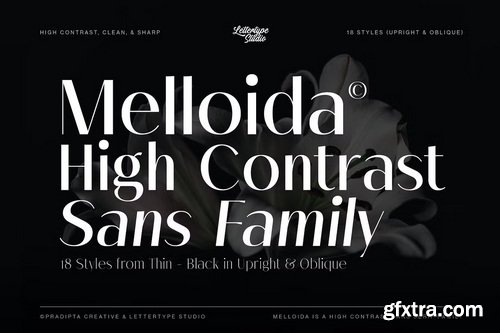 CreativeMarket - Melloida Font Family