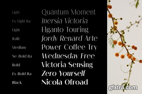 CreativeMarket - Melloida Font Family