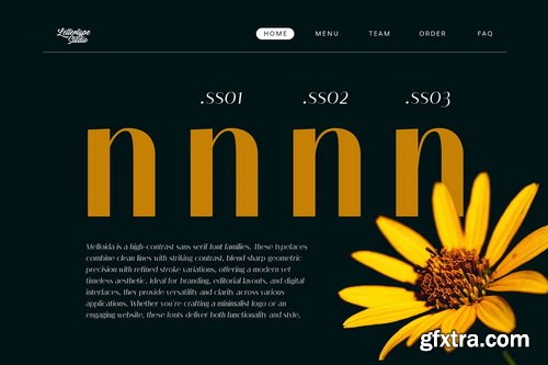 CreativeMarket - Melloida Font Family