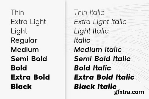 CreativeMarket - Raela Pro a Geometric Sans Family