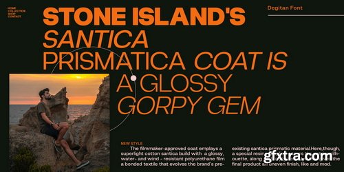 MyFonts - Degitan Font Family 53xOTF