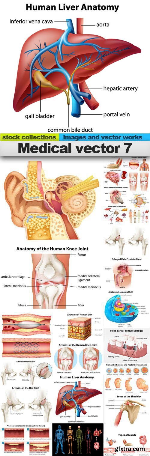 Medical Vectors #7, 25xEPS
