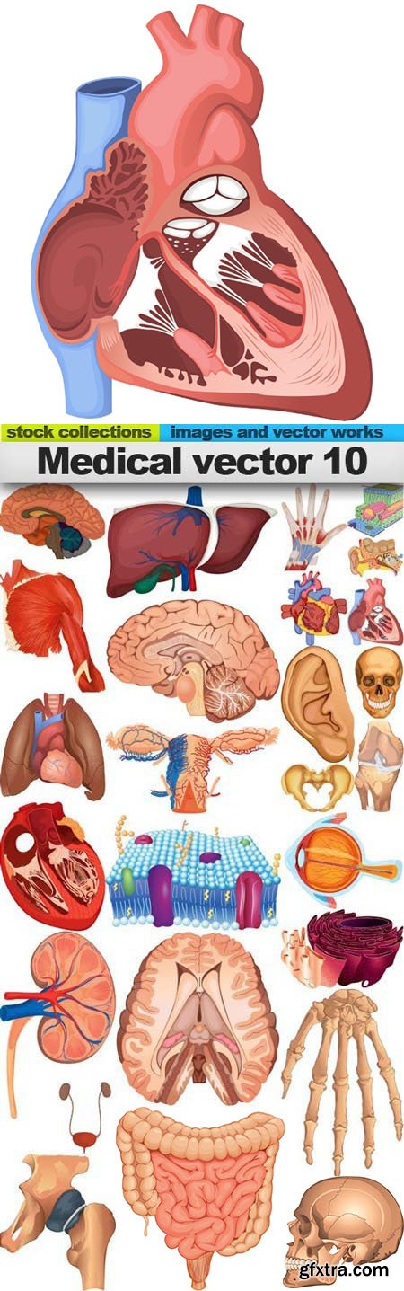 Medical Vectors #10, 25xEPS
