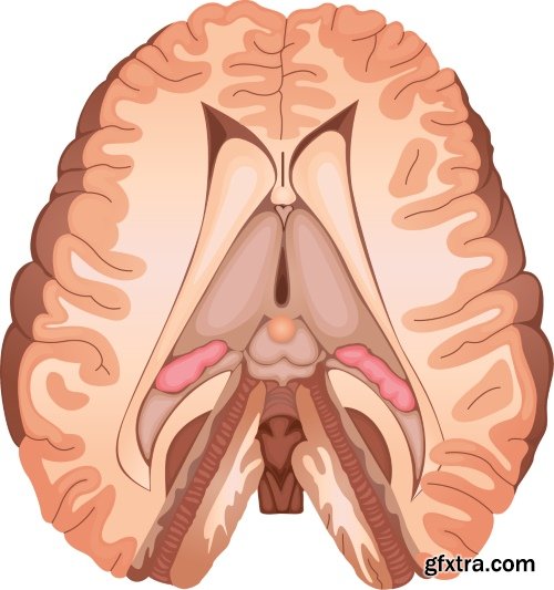Medical Vectors #10, 25xEPS
