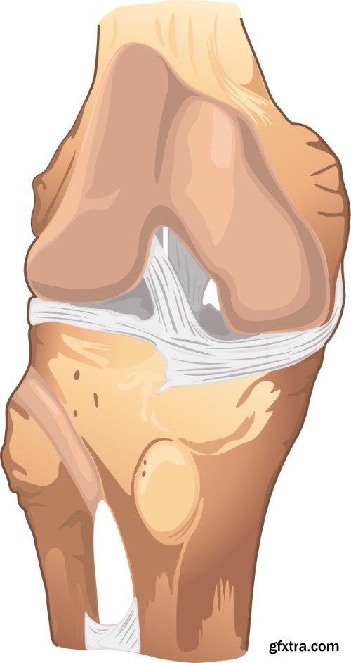 Medical Vectors #10, 25xEPS