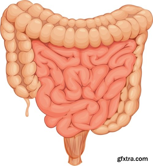 Medical Vectors #10, 25xEPS