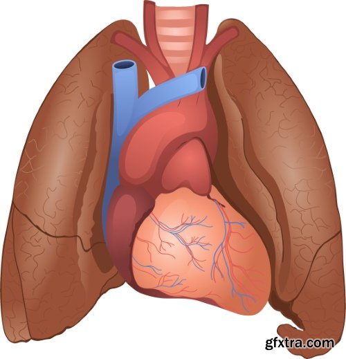 Medical Vectors #10, 25xEPS
