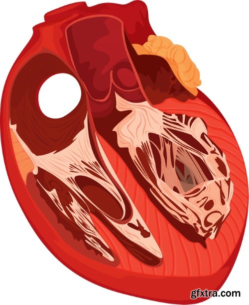Medical Vectors #10, 25xEPS