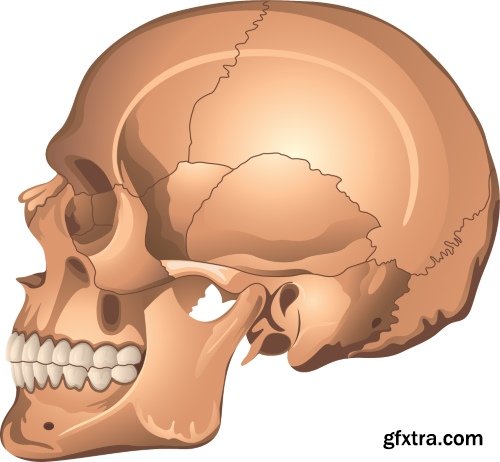 Medical Vectors #10, 25xEPS