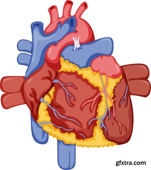 Medical Vectors #10, 25xEPS