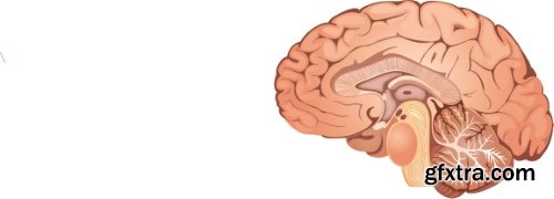 Medical Vectors #10, 25xEPS