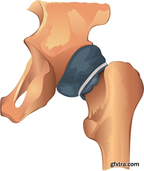 Medical Vectors #10, 25xEPS