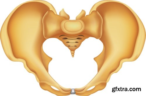 Medical Vectors #10, 25xEPS
