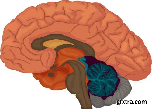 Medical Vectors #10, 25xEPS