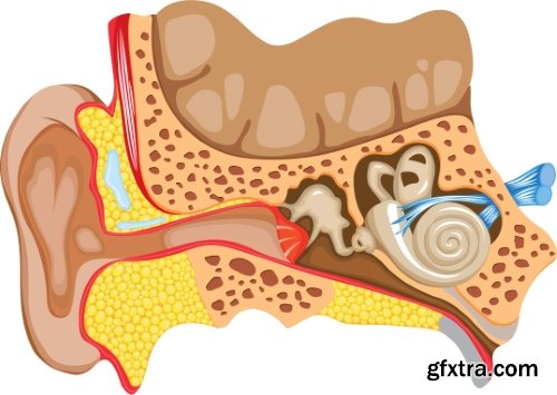 Medical Vectors #10, 25xEPS