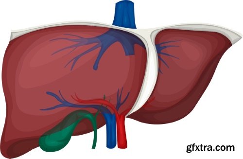 Medical Vectors #10, 25xEPS