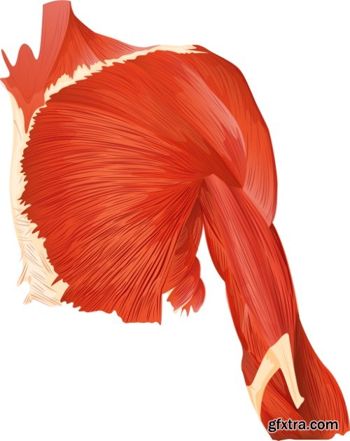 Medical Vectors #10, 25xEPS