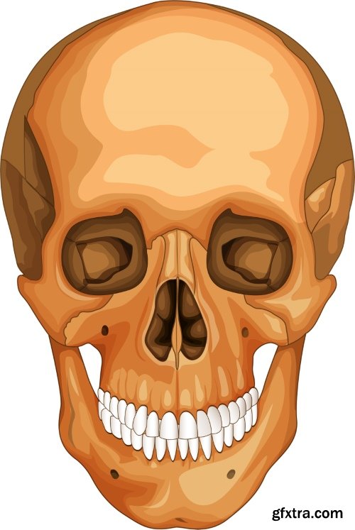 Medical Vectors #10, 25xEPS