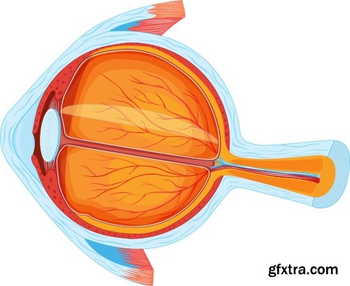 Medical Vectors #10, 25xEPS
