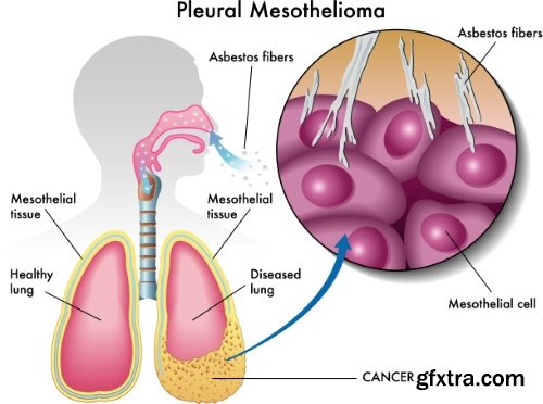 Medical Vectors #12, 25xEPS