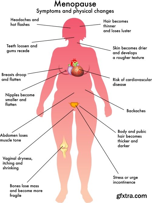 Medical Vectors #12, 25xEPS