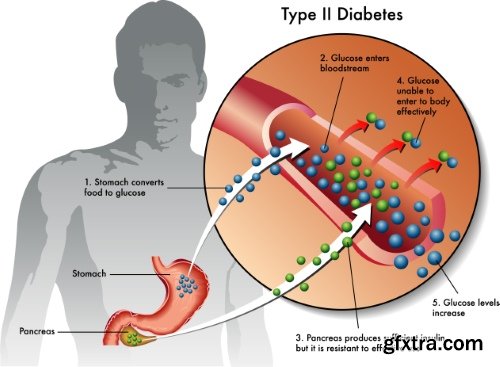 Medical Vectors #12, 25xEPS