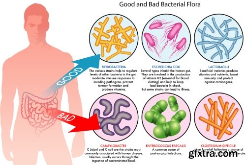 Medical Vectors #12, 25xEPS