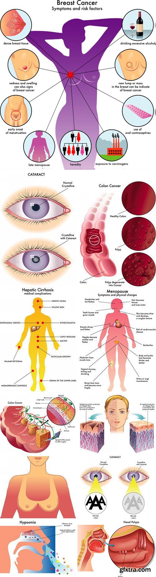 Medical Illustrations #2, 25xEPS